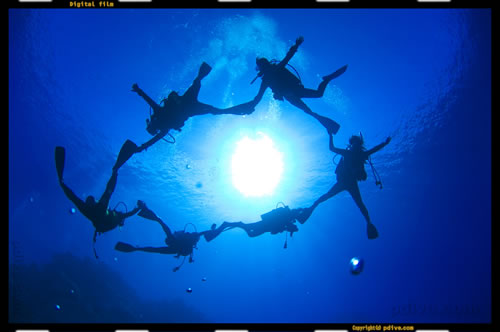 マーシャル諸島 アルノ環礁 ダイビング 2006/10/12 (1)アルノドックサウス